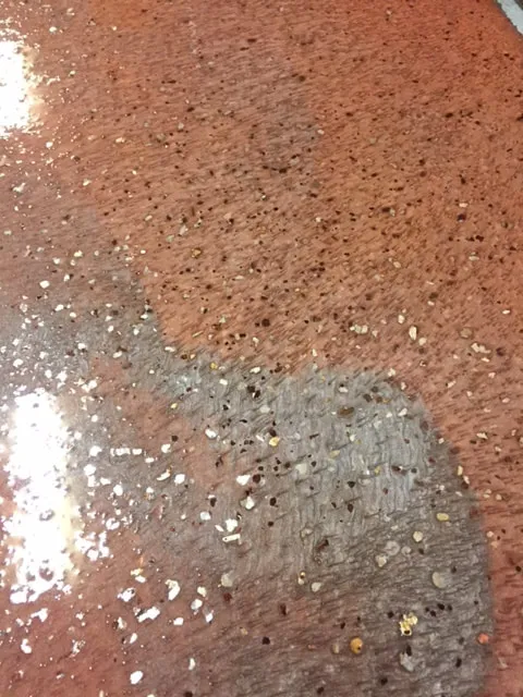 Flake Floor epoxy floor — Flake & clear coat — by LB Epoxy Flooring